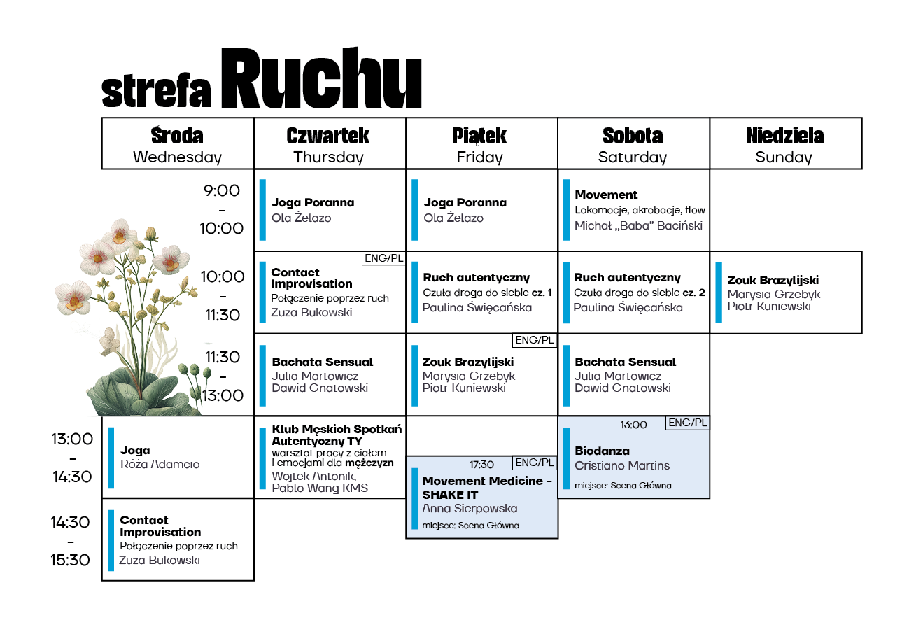 Strefa Ruchu